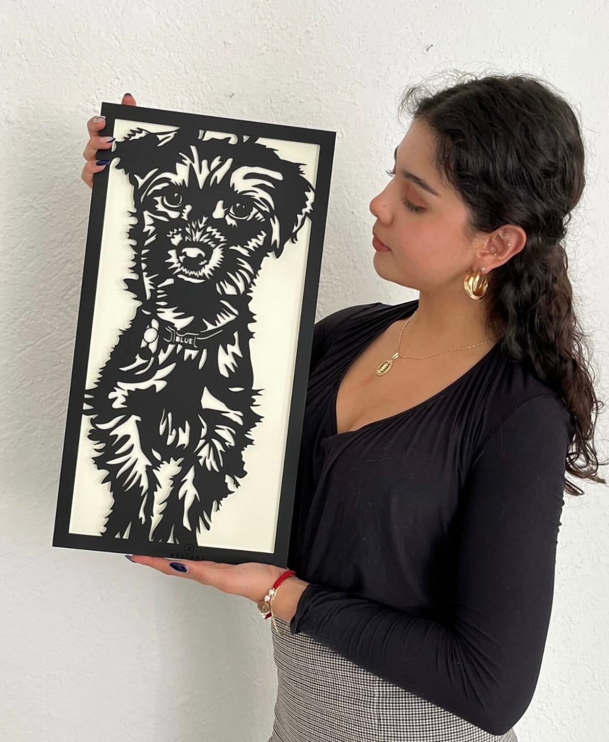 Diseño personalizado de mascotas