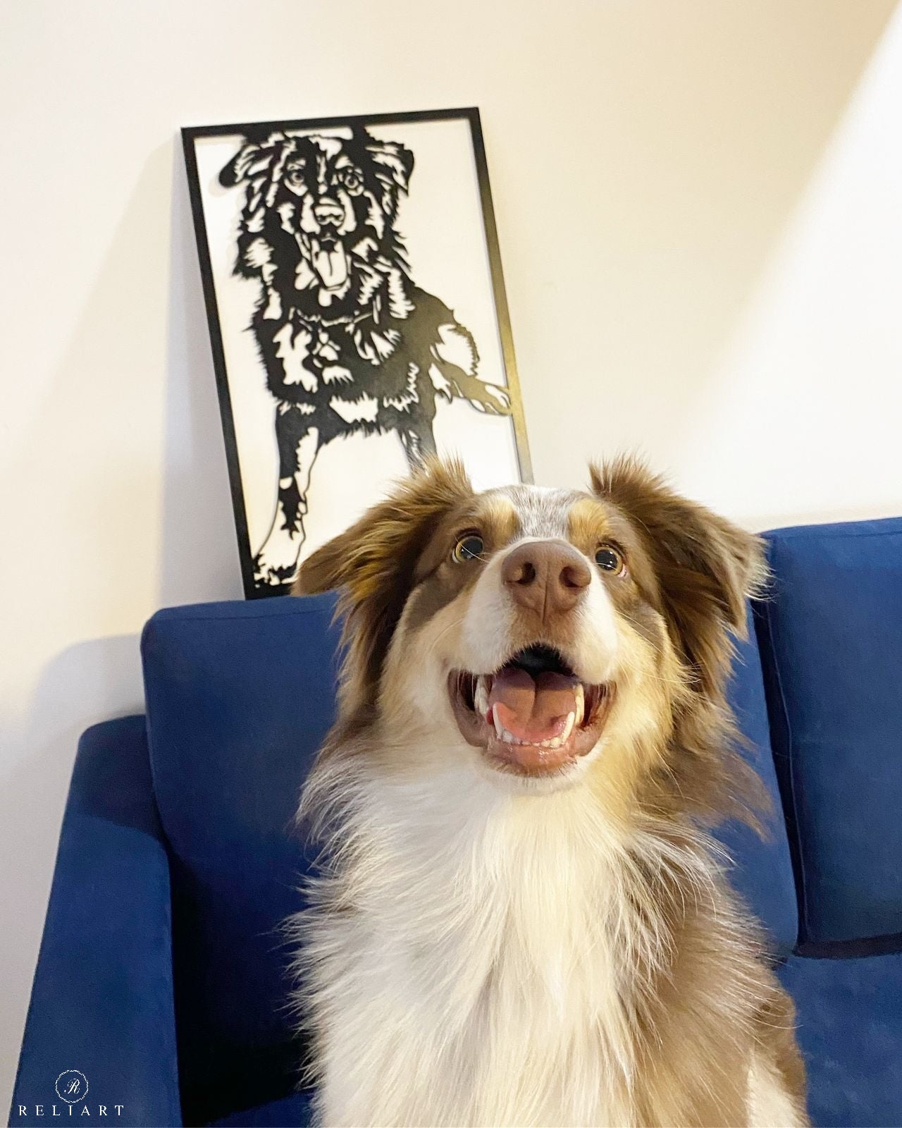 Diseño personalizado de mascotas